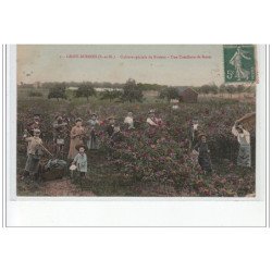 GRISY-SUISNES - Culture spéciale de Rosiers - une cueillette de Roses - très bon état