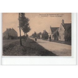 Environs de COURPALAY - FLEURY - Route de Nangis - très bon état