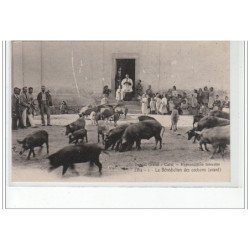 ZILIA - La Bénédiction des Cochons (avant) - ed. Pascal Orsini - Calvi - très bon état