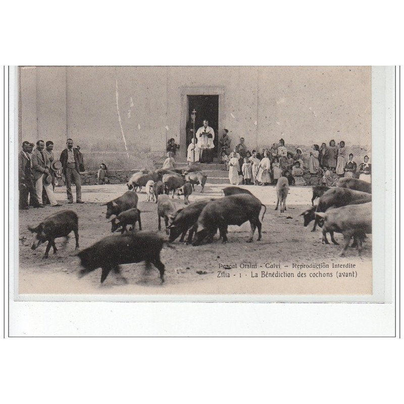 ZILIA - La Bénédiction des Cochons (avant) - ed. Pascal Orsini - Calvi - très bon état