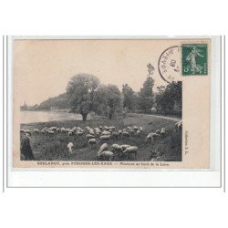 SOULANGY, près POUGUES LES EAUX - Moutons au bord de la Loire - très bon état