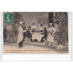 VERDUN SUR LE DOUBS : hôtel des Trois Maures - la vraie pochouse verdunise (chien) - très bon état