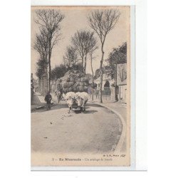 EN NIVERNAIS - Un attelage de Boeufs - très bon état