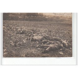MAURUPT : carte photo de cadavres en 1914 (guerre 14-18) - très bon état