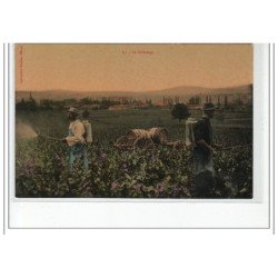 SAONE ET LOIRE - Le sulfatage- très bon état