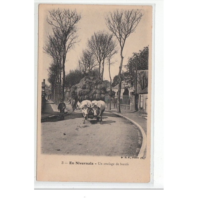 EN NIVERNAIS - Un attelage de boeufs - très bon état