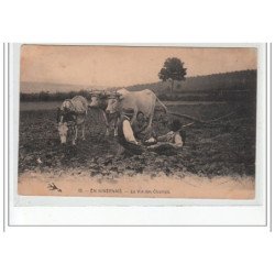 EN NIVERNAIS - La vie des Champs - très bon état
