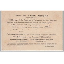 NOGENT SUR VERNISSON : élevage de lapins angora (plus une carte publicitaire non-illustrée) - très bon état