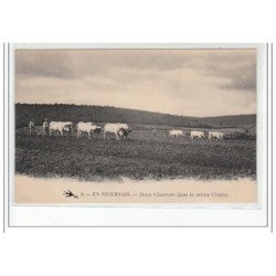 EN NIVERNAIS - Deux charrues dans le même champ - très bon état