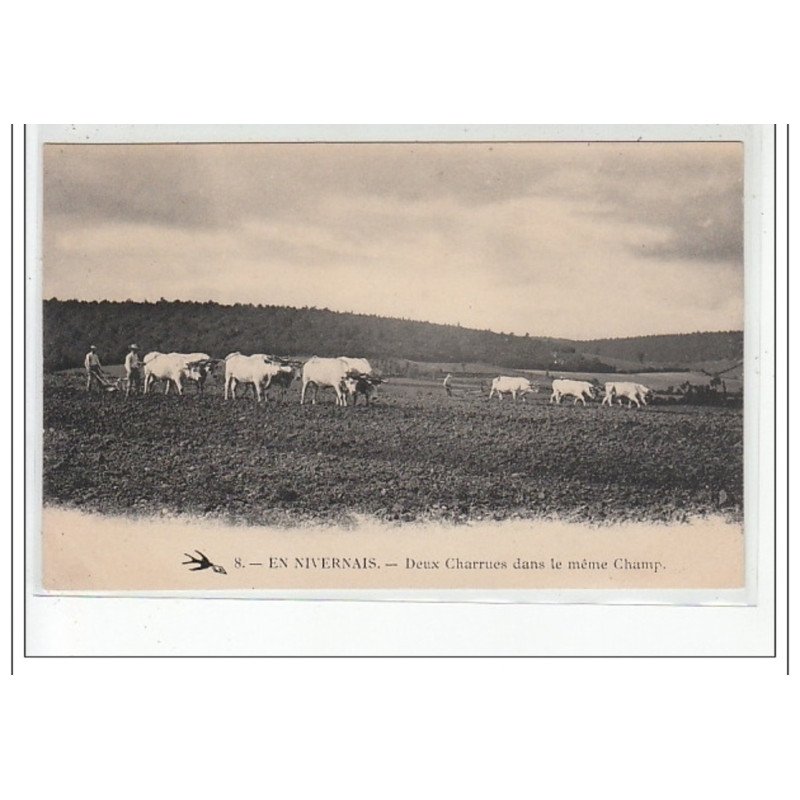 EN NIVERNAIS - Deux charrues dans le même champ - très bon état