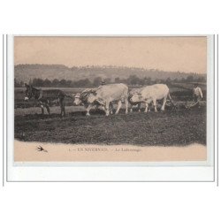 EN NIVERNAIS - La Labourage - très bon état