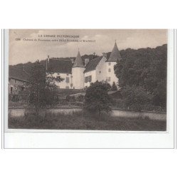 Château de FOURNOUX entre BELLEGARDE et MAINSAT - état