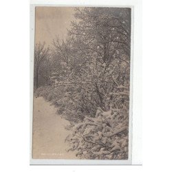 DOUBS - CARTE PHOTO - Paysage enneigé - très bon état