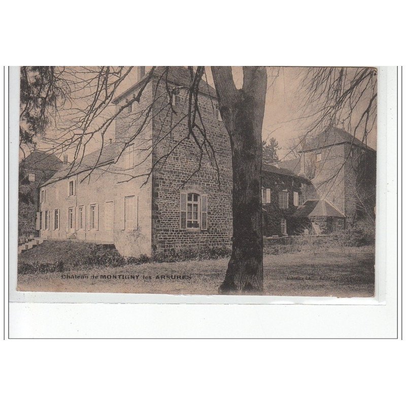 Château de MONTIGNY LES ARSURES - très bon état