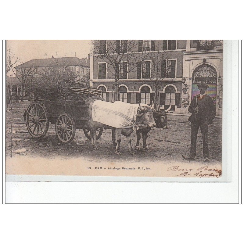 PAU - Attelage béarnais - très bon état
