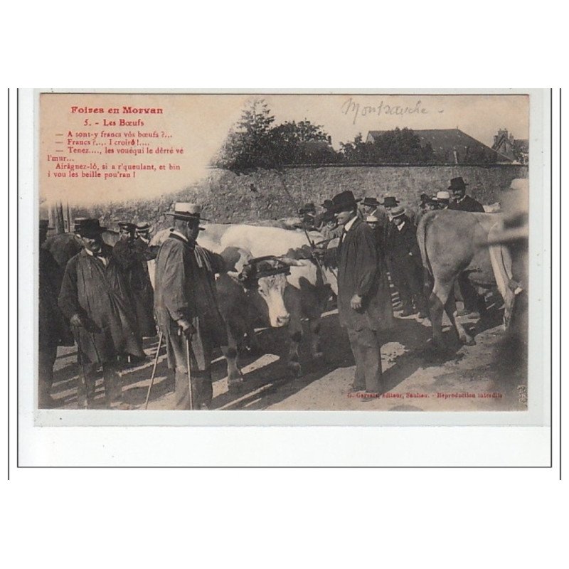 FOIRES EN MORVAN  - Les boeufs - très bon état