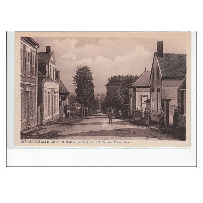 SAINT MAURICE AUX RICHES HOMMES - L'allée des Maronniers - très bon état