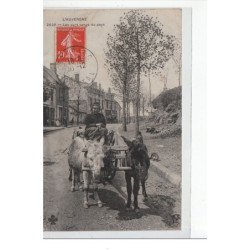 L'Auvergne - Les purs-sangs du pays - très bon état