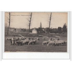 CLOYES - Moutons au pâturage - très bon état