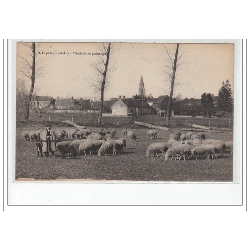 CLOYES - Moutons au pâturage - très bon état