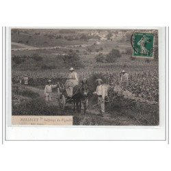 MELLECEY - Sulfatage des vignobles - état (déchirure)
