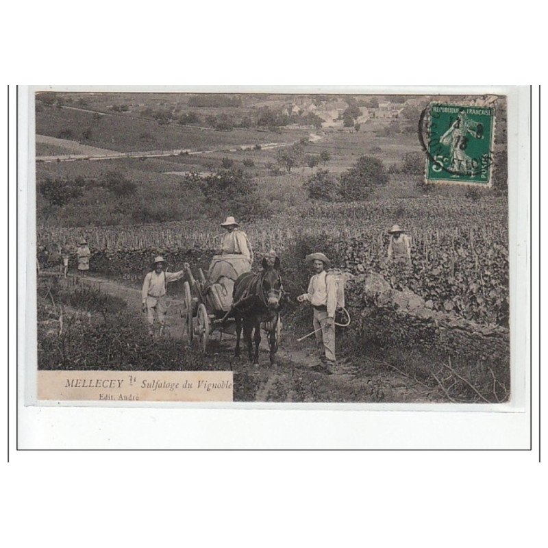 MELLECEY - Sulfatage des vignobles - état (déchirure) MELLECEY - Sulfatage des vignobles - état (déchirure)