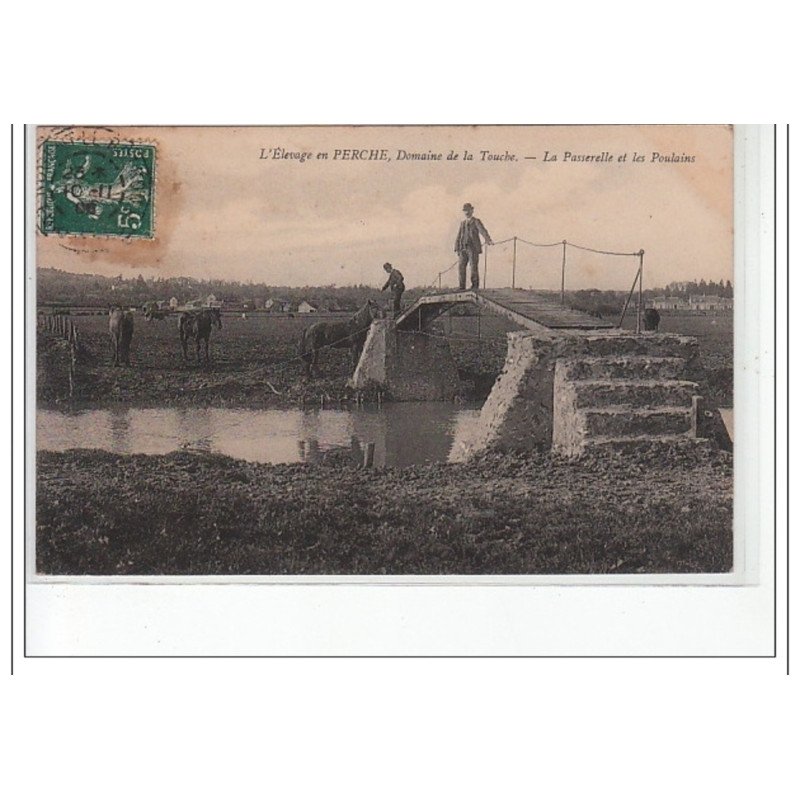 L'élevage en Perche - Domaine de la Touche - La passerelle et les Poulains - très bon état