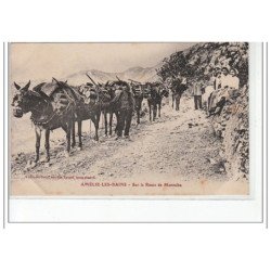 AMELIE LES BAINS - Sur la Route de Montalba - très bon état