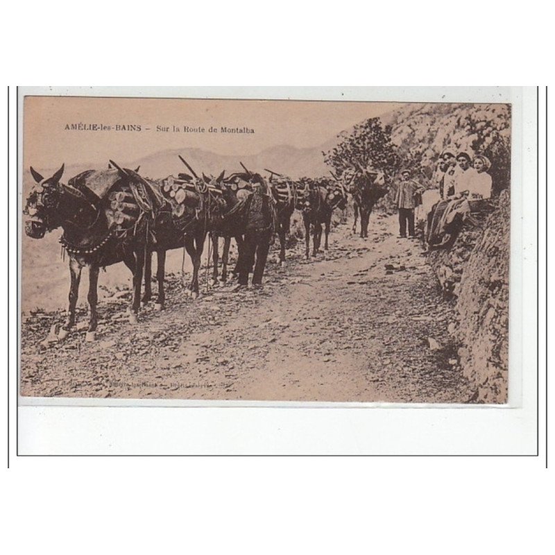 AMELIE LES BAINS - Sur la Route de Montalba - état