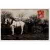 PUTEAUX : carte photo  agriculture (herse et attelage) vers 1910 - très bon état