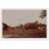 SAINT ANDRE LES VERGERS : carte photo d'une scène de fenaison prise par le photo-club Champenois en 1911 - très bon état