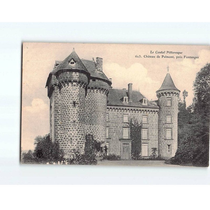 Château de Palmont, près Fontanges - très bon état Château de Palmont, près Fontanges - très bon état