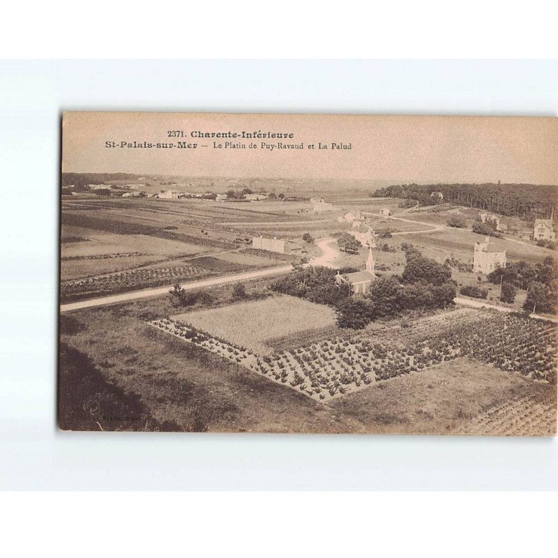 SAINT PALAIS : Le Platin de Puy-Ravaud et la Palud - très bon état