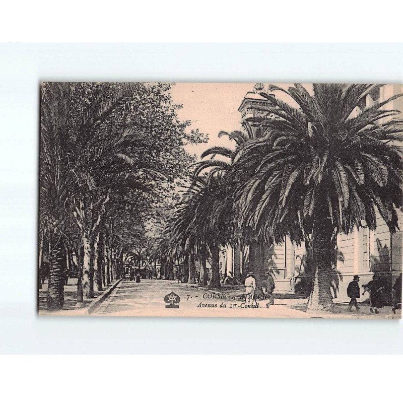 AJACCIO : Avenue du 1er ConsuI - très bon état AJACCIO : Avenue du 1er ConsuI - très bon état