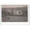 VASSY - CARTE PHOTO - Famille dans les prés - très bon état