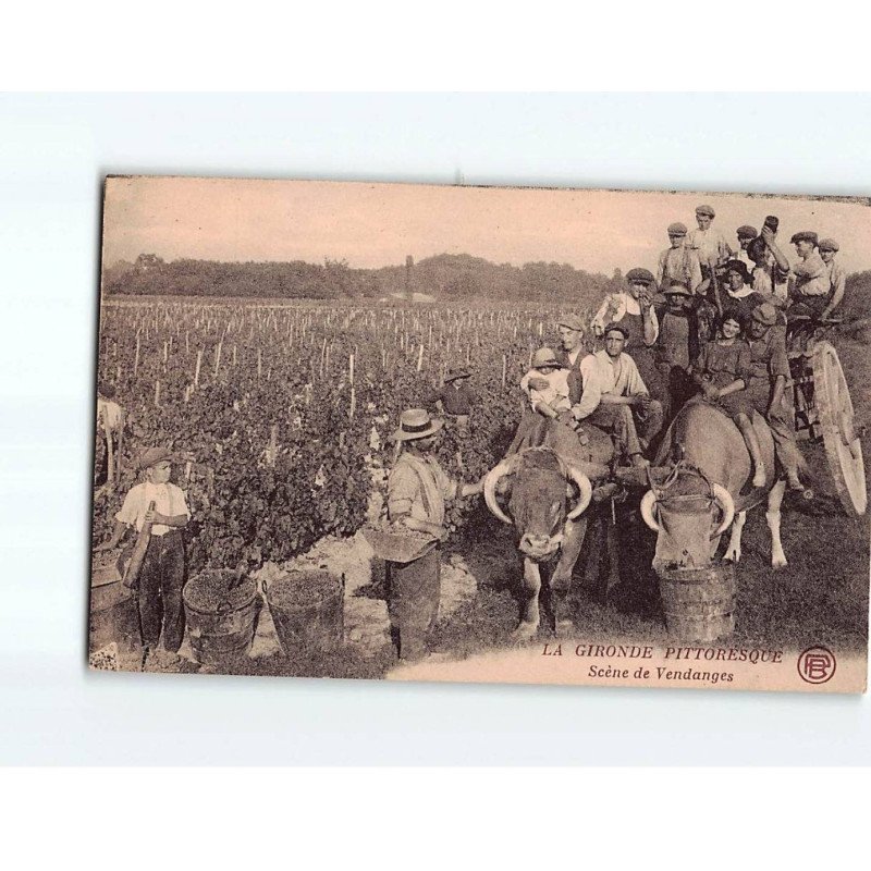 Scène de vendanges - très bon état Scène de vendanges - très bon état