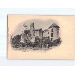 PONTCHARRA : Ruines du Château Bayard - très bon état