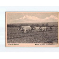 CHATEAU CHINON : Attelage de Boeufs au Labour - état