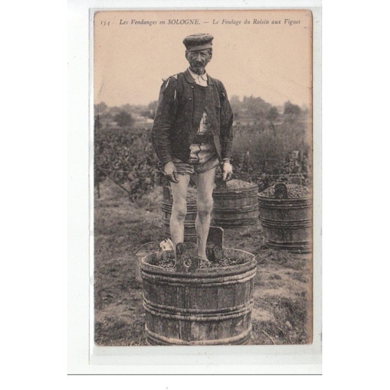 LES VENDANGES EN SOLOGNE - Le foulage du raisin aux vignes - très bon état