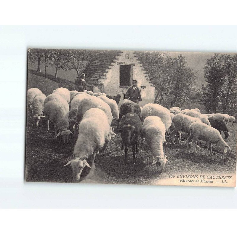 Environs de Cauterets, Pâturage de Moutons - très bon état Environs de Cauterets, Pâturage de Moutons - très bon état