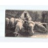 Environs de Cauterets, Pâturage de Moutons - très bon état