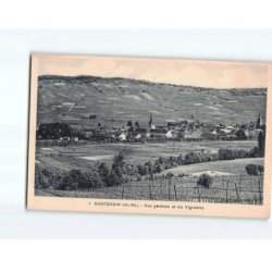 KEINTZHEIM : Vue générale et les vignobles - très bon état