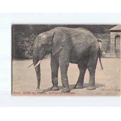 PARIS : Jardin des Plantes, L'éléphant d'Afrique - très bon état