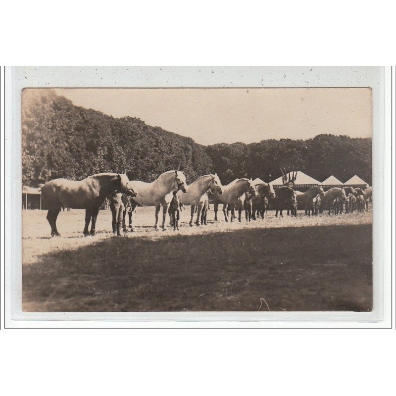 Environs de ROUEN - CARTE PHOTO - Défilé Militaire - très bon état