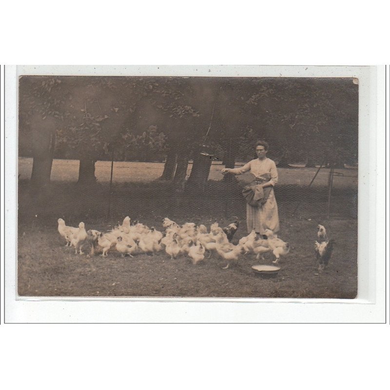 ROUEN - CARTE PHOTO - Femme donnant du grain aux poules - Cliché A. Chambry à ROUEN - très bon état