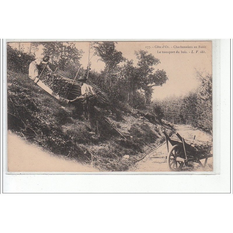 COTE D'OR - Charbonniers en forêt - le transport du bois - très bon état