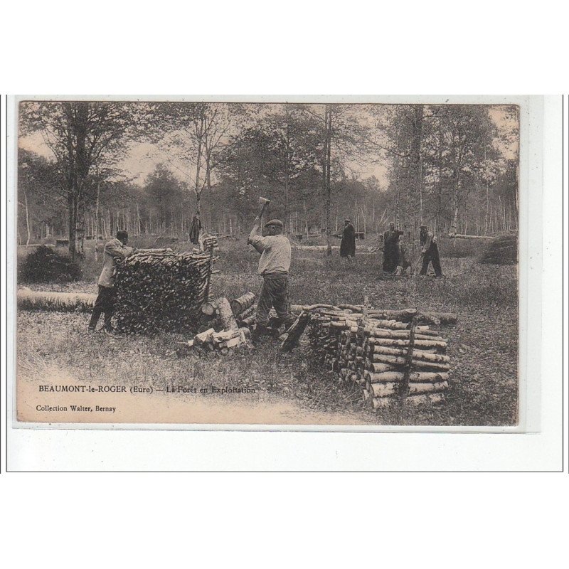 BEAUMONT LE ROGER - La Forêt en exploitation - très bon état