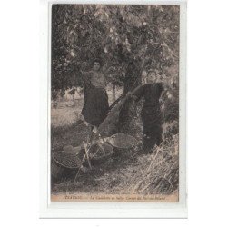 ITXASSOU - La Cueillette de belles cerises du Pas de Roland - très bon état