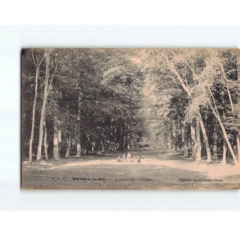 MESNIL LE ROI : Avenue du Château - état