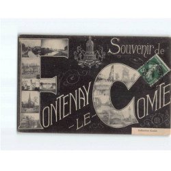 FONTENAY LE COMTE : Carte Souvenir - état